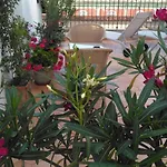 Janare - & Terrace 4*