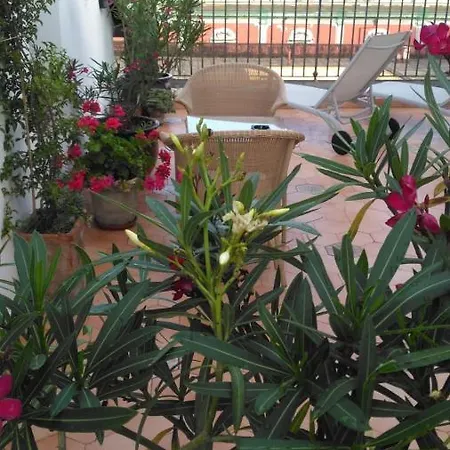 Janare - & Terrace 4*